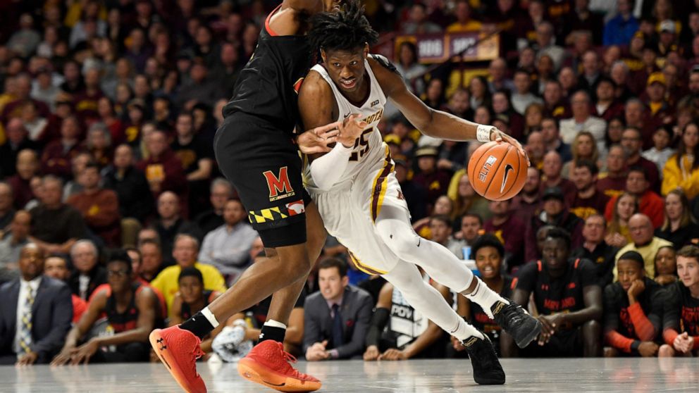 Minnesota Arena Ap Photo